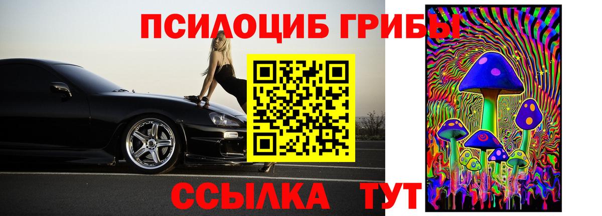 Псилоцибиновые грибы Psilocybine cubensis Можайск