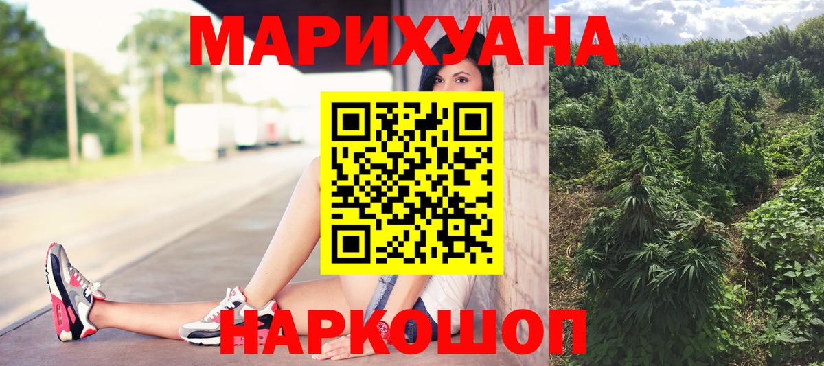 Конопля сатива Можайск